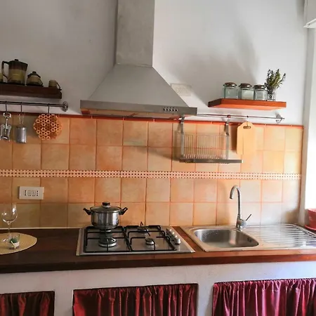 Zibibbo